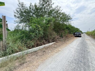 ขายด่วนที่ดิน 800 ตรว ติดถนนสาธารณะ ซ.อารีย์ หมู่ 6 ถนนเทศบาล 5 ลาดหลุมแก้ว ปทุมธานี