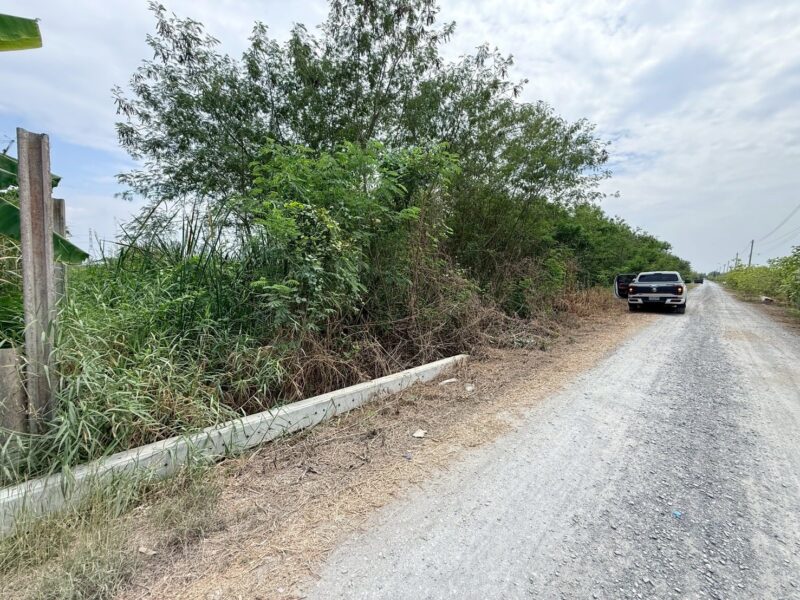 ขายด่วนที่ดิน 800 ตรว ติดถนนสาธารณะ ซ.อารีย์ หมู่ 6 ถนนเทศบาล 5 ลาดหลุมแก้ว ปทุมธานี