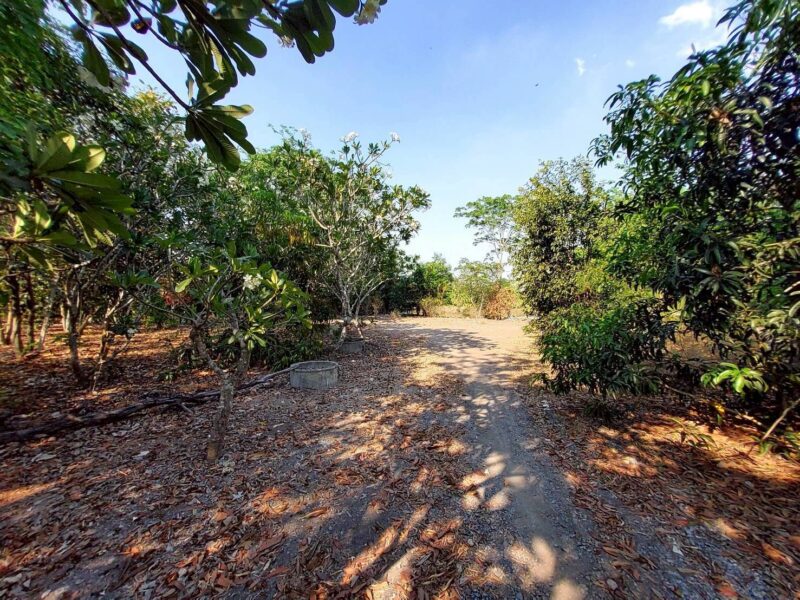 ขายด่วนที่ดิน 9-1-41 ไร่ ติดถนนสาธารณะ คลอง 11 ตอ. ซอย สมนึก อ.หนองเสือ จ.ปทุมธานี