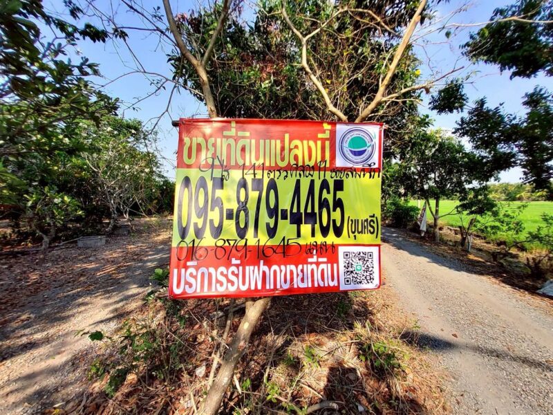 ขายด่วนที่ดิน 9-1-41 ไร่ ติดถนนสาธารณะ คลอง 11 ตอ. ซอย สมนึก อ.หนองเสือ จ.ปทุมธานี