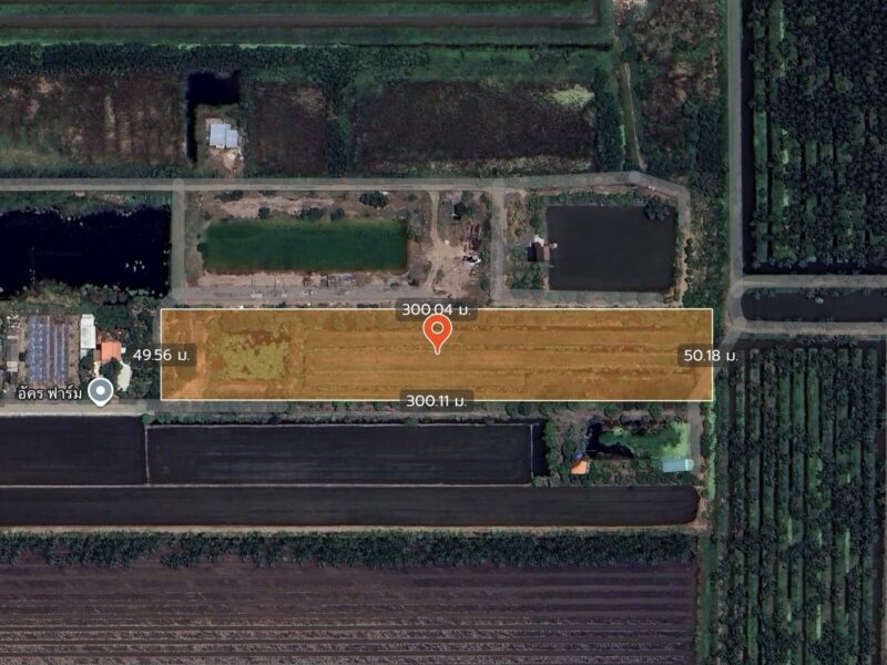 ขายด่วนที่ดิน 9-1-41 ไร่ ติดถนนสาธารณะ คลอง 11 ตอ. ซอย สมนึก อ.หนองเสือ จ.ปทุมธานี