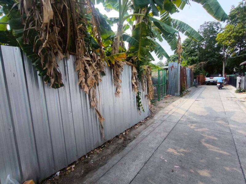 ขายด่วนที่ดินใกล้กระทรวงสาธารณสุข 435 ตรว ติดถนนคอนกรีต ซ.ดวงมณี 6 บางเขน เมืองนนทบุรี