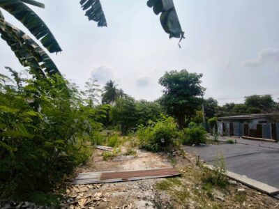 ขายด่วนที่ดินใกล้กระทรวงสาธารณสุข 435 ตรว ติดถนนคอนกรีต ซ.ดวงมณี 6 บางเขน เมืองนนทบุรี