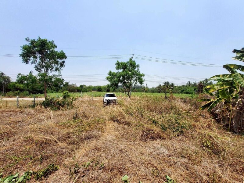 ขายที่ดินใกล้วัดหนองตาเนิด 200 ตรว ติดถนนลาดยางสาธารณะ ต.ปากช่อง อ.จอมบึง จ.ราชบุรี