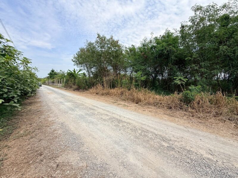 ขายด่วนที่ดิน 800 ตรว ติดถนนสาธารณะ ซ.อารีย์ หมู่ 6 ถนนเทศบาล 5 ลาดหลุมแก้ว ปทุมธานี