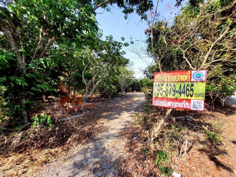 ขายด่วนที่ดิน 9-1-41 ไร่ ติดถนนสาธารณะ คลอง 11 ตอ. ซอย สมนึก อ.หนองเสือ จ.ปทุมธานี