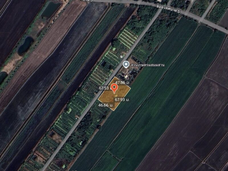 ขายด่วนที่ดิน 800 ตรว ติดถนนสาธารณะ ซ.อารีย์ หมู่ 6 ถนนเทศบาล 5 ลาดหลุมแก้ว ปทุมธานี