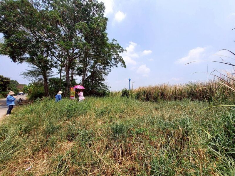 ขายด่วนที่ดิน 60 ตรว ติดถนนสาธารณะ ถมแล้ว ซ.คลองสี่ ตต.23/1(ซอย ชมทุ่ง) คลองหลวง ปทุมธานี