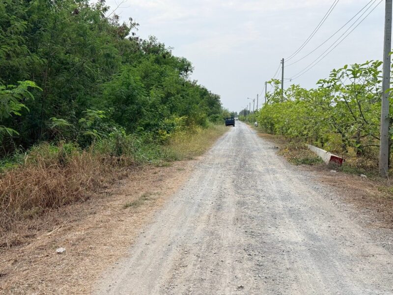 ขายด่วนที่ดิน 800 ตรว ติดถนนสาธารณะ ซ.อารีย์ หมู่ 6 ถนนเทศบาล 5 ลาดหลุมแก้ว ปทุมธานี