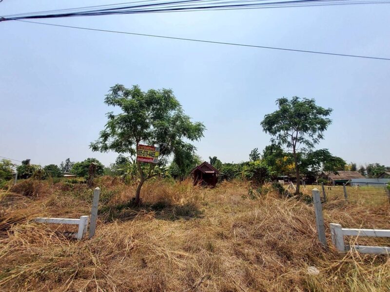 ขายที่ดินใกล้วัดหนองตาเนิด 200 ตรว ติดถนนลาดยางสาธารณะ ต.ปากช่อง อ.จอมบึง จ.ราชบุรี