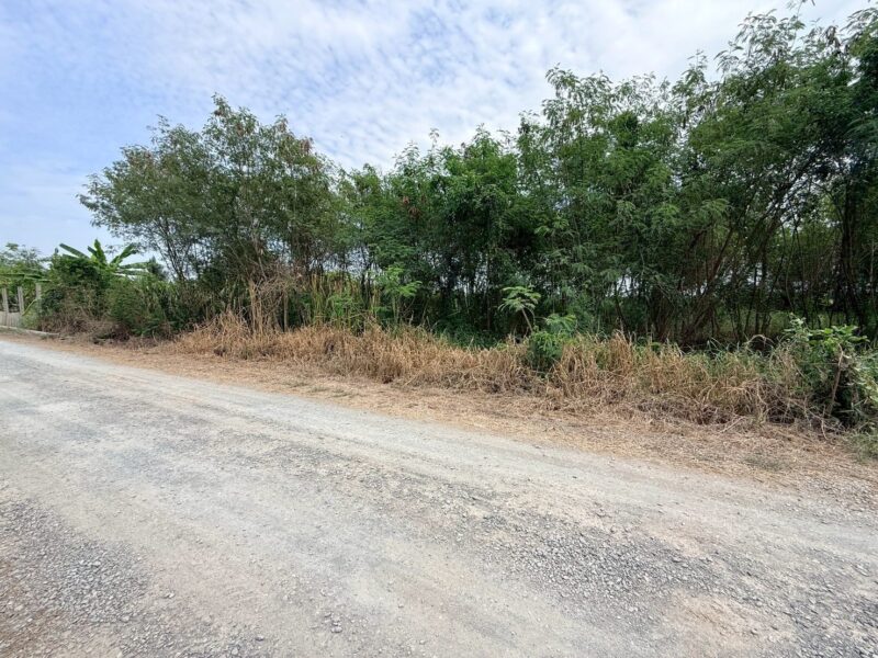 ขายด่วนที่ดิน 800 ตรว ติดถนนสาธารณะ ซ.อารีย์ หมู่ 6 ถนนเทศบาล 5 ลาดหลุมแก้ว ปทุมธานี