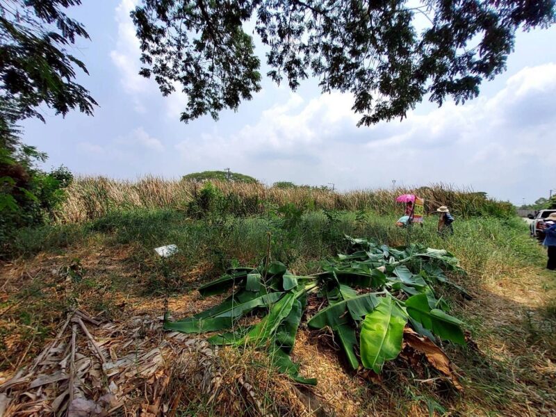 ขายด่วนที่ดิน 60 ตรว ติดถนนสาธารณะ ถมแล้ว ซ.คลองสี่ ตต.23/1(ซอย ชมทุ่ง) คลองหลวง ปทุมธานี