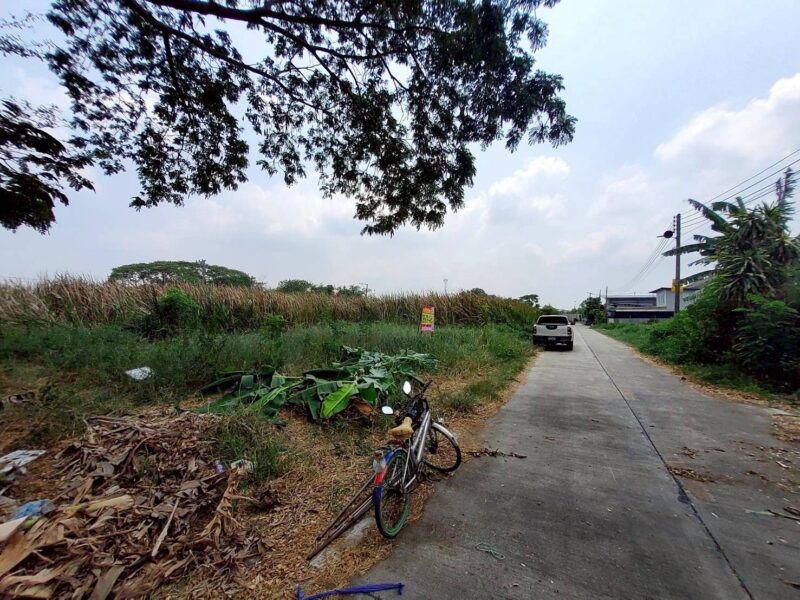 ขายด่วนที่ดิน 60 ตรว ติดถนนสาธารณะ ถมแล้ว ซ.คลองสี่ ตต.23/1(ซอย ชมทุ่ง) คลองหลวง ปทุมธานี