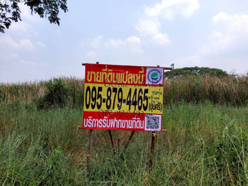 ขายด่วนที่ดิน 60 ตรว ติดถนนสาธารณะ ถมแล้ว ซ.คลองสี่ ตต.23/1(ซอย ชมทุ่ง) คลองหลวง ปทุมธานี