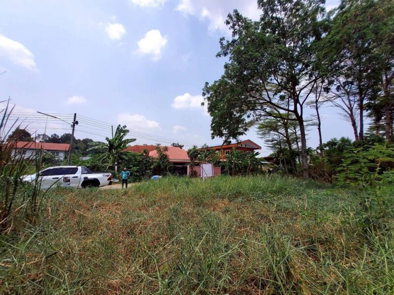 ขายด่วนที่ดิน 60 ตรว ติดถนนสาธารณะ ถมแล้ว ซ.คลองสี่ ตต.23/1(ซอย ชมทุ่ง) คลองหลวง ปทุมธานี