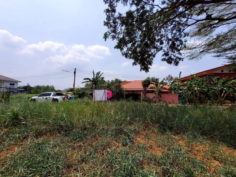 ขายด่วนที่ดิน 60 ตรว ติดถนนสาธารณะ ถมแล้ว ซ.คลองสี่ ตต.23/1(ซอย ชมทุ่ง) คลองหลวง ปทุมธานี