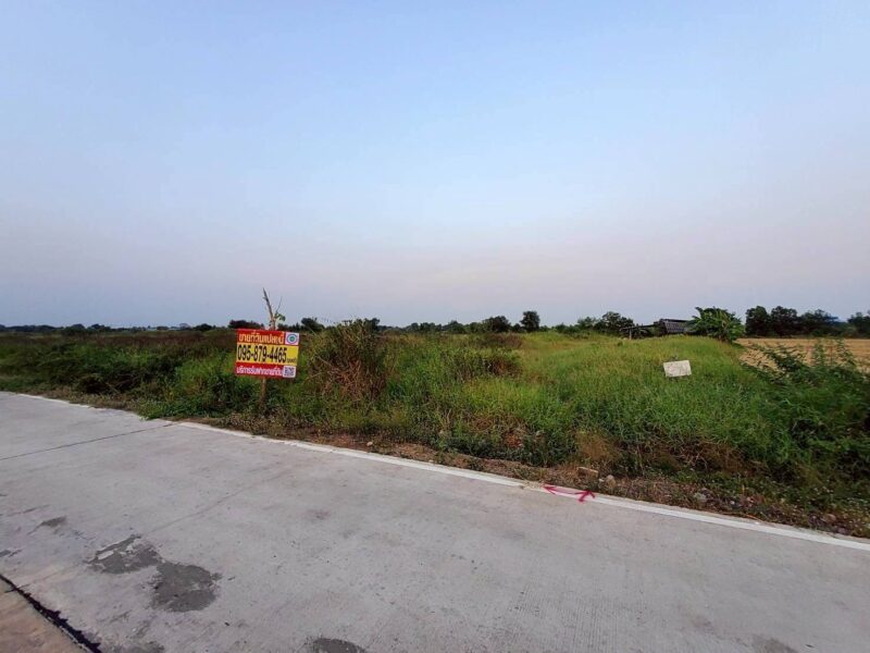 ขายด่วนที่ดิน 400 ตรว ติดถนนสาธารณะ ลาดหลุมแก้ว ปทุมธานี