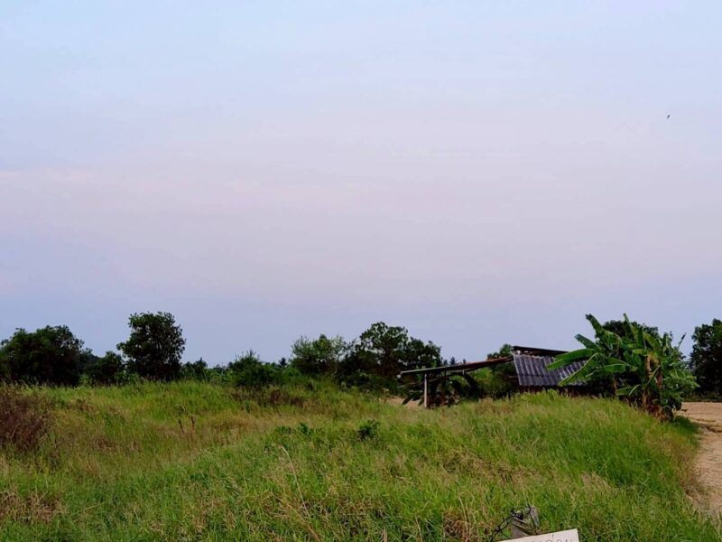 ขายด่วนที่ดิน 400 ตรว ติดถนนสาธารณะ ลาดหลุมแก้ว ปทุมธานี