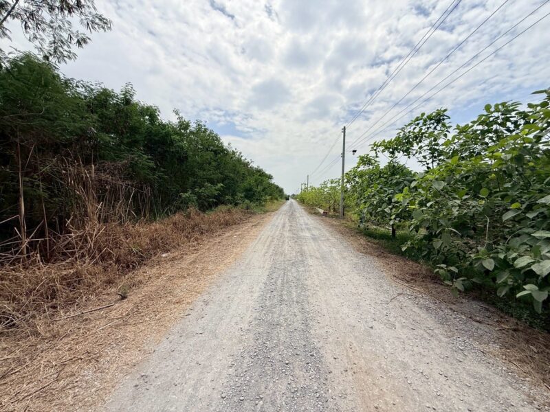 ขายด่วนที่ดิน 800 ตรว ติดถนนสาธารณะ ซ.อารีย์ หมู่ 6 ถนนเทศบาล 5 ลาดหลุมแก้ว ปทุมธานี