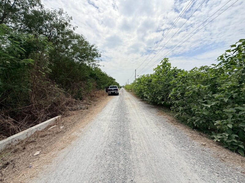 ขายด่วนที่ดิน 800 ตรว ติดถนนสาธารณะ ซ.อารีย์ หมู่ 6 ถนนเทศบาล 5 ลาดหลุมแก้ว ปทุมธานี