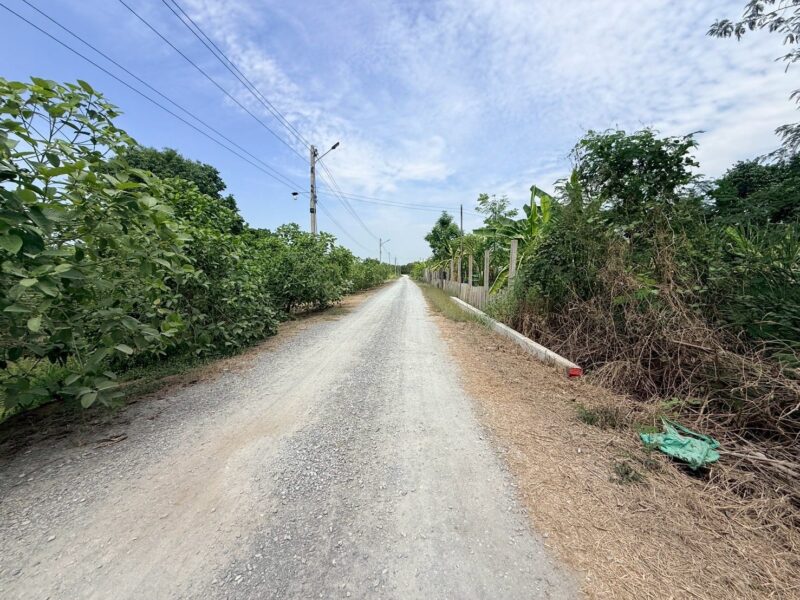 ขายด่วนที่ดิน 800 ตรว ติดถนนสาธารณะ ซ.อารีย์ หมู่ 6 ถนนเทศบาล 5 ลาดหลุมแก้ว ปทุมธานี