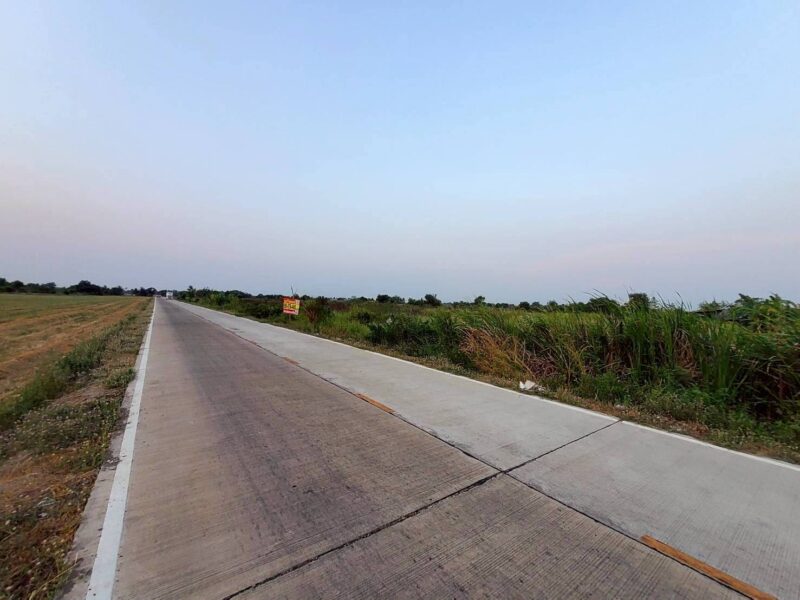 ขายด่วนที่ดิน 400 ตรว ติดถนนสาธารณะ ลาดหลุมแก้ว ปทุมธานี