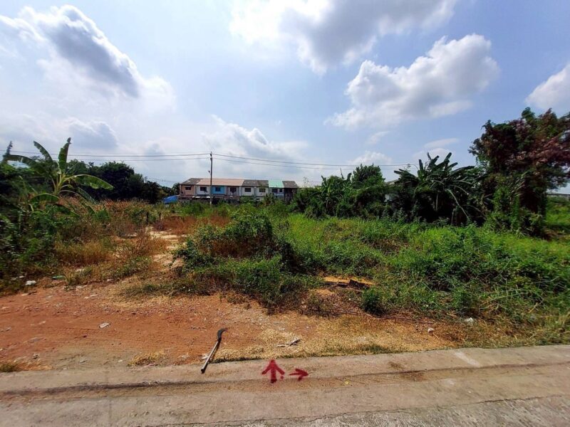 ขายด่วนที่ดินใกล้ รร.สารสาสน์วิเทศไทรน้อยพิทยาคาร 176 ตรว ติดถนนสาธารณะ ซ.มิตรอารีย์ 2 บางบัวทอง นนทบุรี