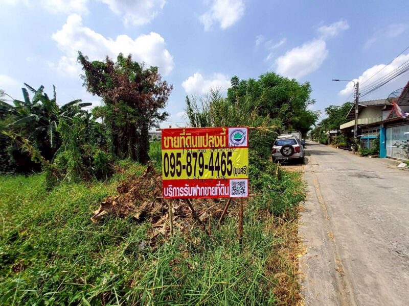 ขายด่วนที่ดินใกล้ รร.สารสาสน์วิเทศไทรน้อยพิทยาคาร 176 ตรว ติดถนนสาธารณะ ซ.มิตรอารีย์ 2 บางบัวทอง นนทบุรี