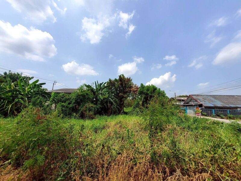 ขายด่วนที่ดินใกล้ รร.สารสาสน์วิเทศไทรน้อยพิทยาคาร 176 ตรว ติดถนนสาธารณะ ซ.มิตรอารีย์ 2 บางบัวทอง นนทบุรี