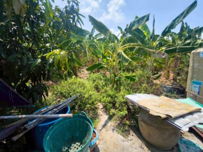 ขายด่วนที่ดิน 302 ตรว ติดถนนคอนกรีตสาธารณะ ม.แสนสุขปาร์ค บางบอน 3 ซอย 8 บางบอน กทม.