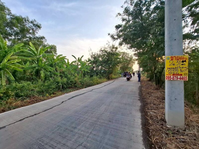 ขายถูกที่ดิน 831 ตรว ติดถนนคอนกรีตสาธารณะ ซ.คลองหก ตต.19 คลองหลวง ปทุมธานี