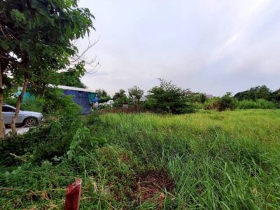 ขายด่วนที่ดิน 206 ตรว ติดถนนคอนกรีต ซ.ลาดกระบัง 14/1 ราชาเทวะ บางพลี สมุทรปราการ