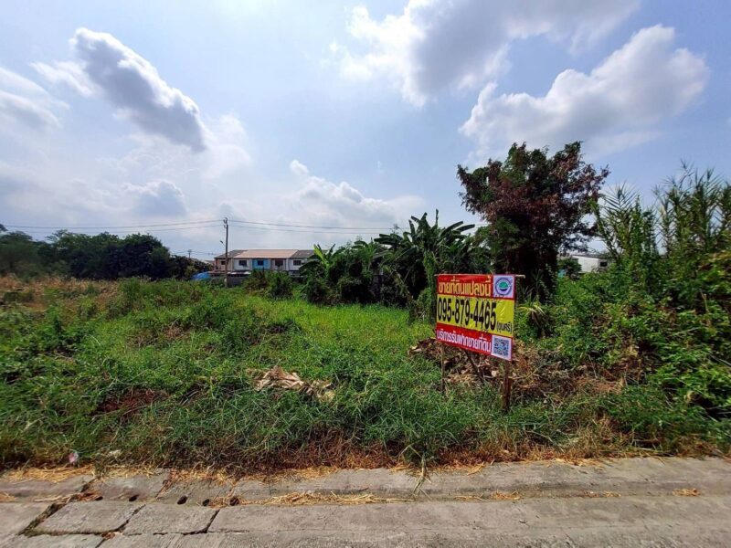 ขายด่วนที่ดินใกล้ รร.สารสาสน์วิเทศไทรน้อยพิทยาคาร 176 ตรว ติดถนนสาธารณะ ซ.มิตรอารีย์ 2 บางบัวทอง นนทบุรี