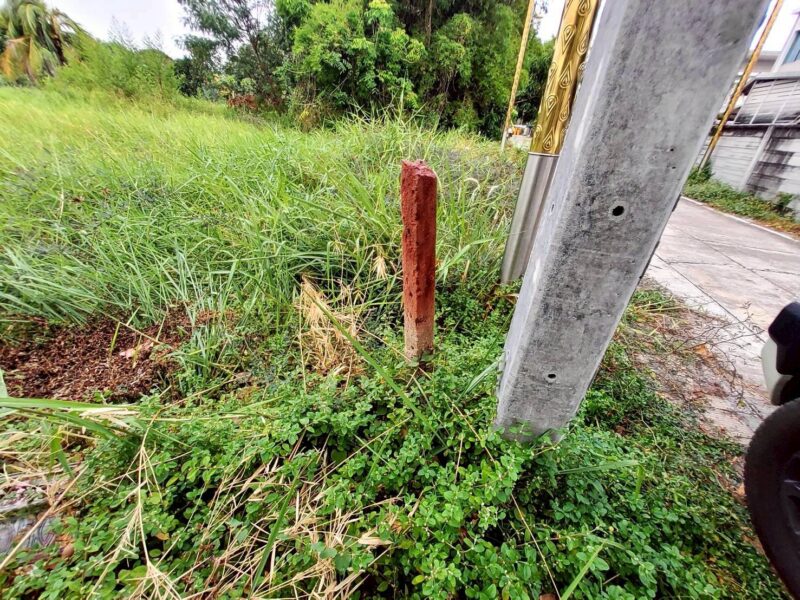 ขายด่วนที่ดิน 206 ตรว ติดถนนคอนกรีต ซ.ลาดกระบัง 14/1 ราชาเทวะ บางพลี สมุทรปราการ