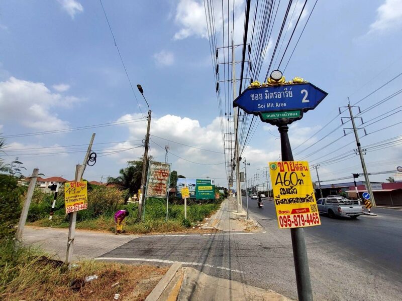 ขายด่วนที่ดินใกล้ รร.สารสาสน์วิเทศไทรน้อยพิทยาคาร 176 ตรว ติดถนนสาธารณะ ซ.มิตรอารีย์ 2 บางบัวทอง นนทบุรี