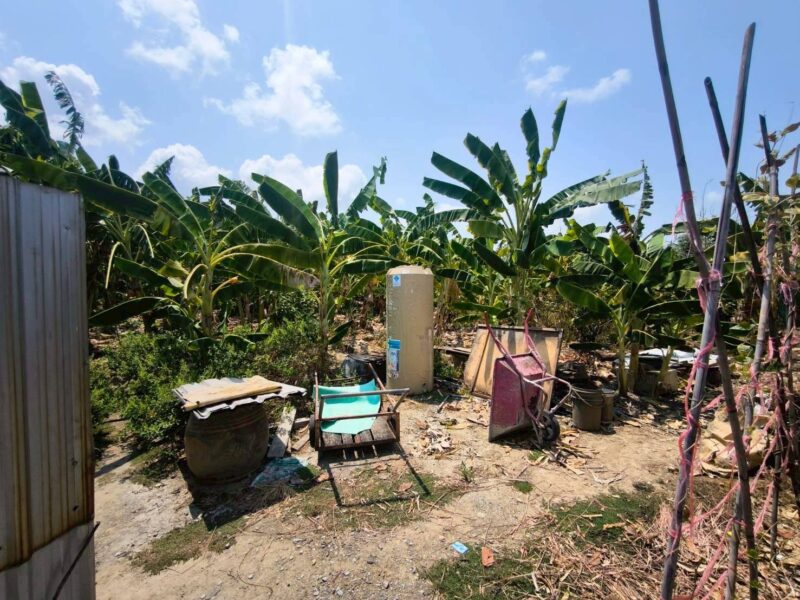 ขายด่วนที่ดิน 302 ตรว ติดถนนคอนกรีตสาธารณะ ม.แสนสุขปาร์ค บางบอน 3 ซอย 8 บางบอน กทม.