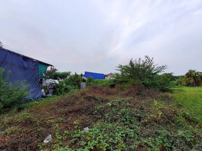 ขายด่วนที่ดิน 206 ตรว ติดถนนคอนกรีต ซ.ลาดกระบัง 14/1 ราชาเทวะ บางพลี สมุทรปราการ