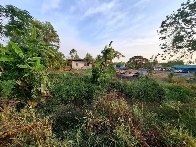 ขายถูกที่ดิน 831 ตรว ติดถนนคอนกรีตสาธารณะ ซ.คลองหก ตต.19 คลองหลวง ปทุมธานี