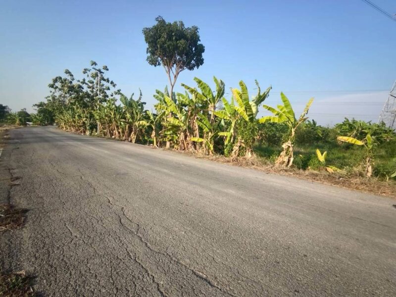 ขายถูกที่ดิน 150 ตรว ติดถนนสาธารณะ ซ.บ้านคลองฝรั่ง ไทรน้อย นนทบุรี