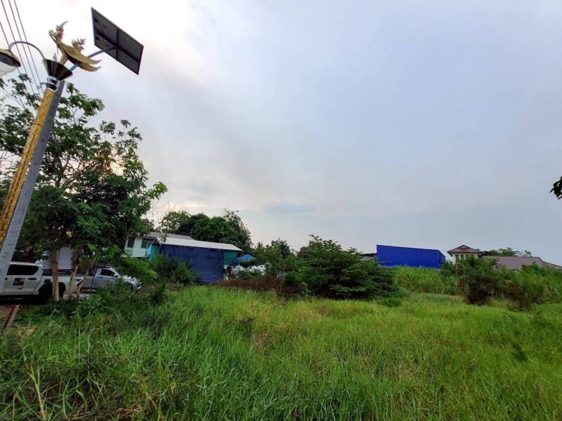 ขายด่วนที่ดิน 206 ตรว ติดถนนคอนกรีต ซ.ลาดกระบัง 14/1 ราชาเทวะ บางพลี สมุทรปราการ