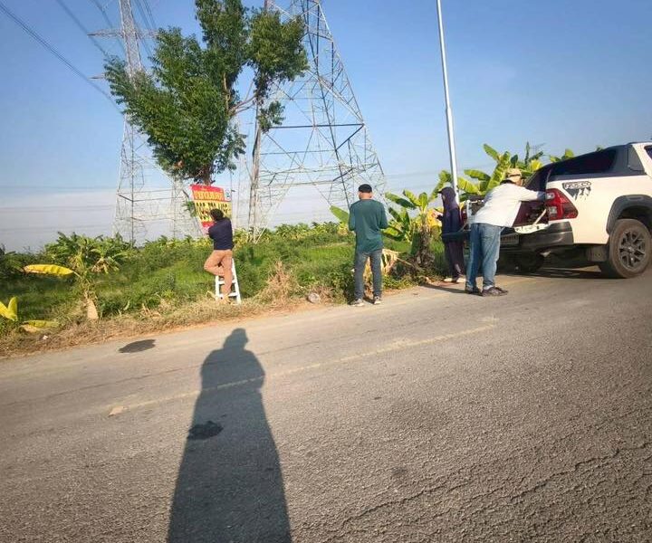 ขายถูกที่ดิน 150 ตรว ติดถนนสาธารณะ ซ.บ้านคลองฝรั่ง ไทรน้อย นนทบุรี