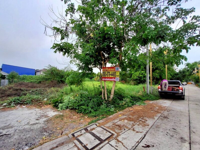 ขายด่วนที่ดิน 206 ตรว ติดถนนคอนกรีต ซ.ลาดกระบัง 14/1 ราชาเทวะ บางพลี สมุทรปราการ