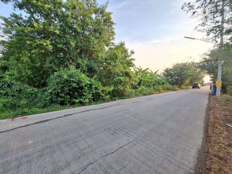 ขายถูกที่ดิน 831 ตรว ติดถนนคอนกรีตสาธารณะ ซ.คลองหก ตต.19 คลองหลวง ปทุมธานี