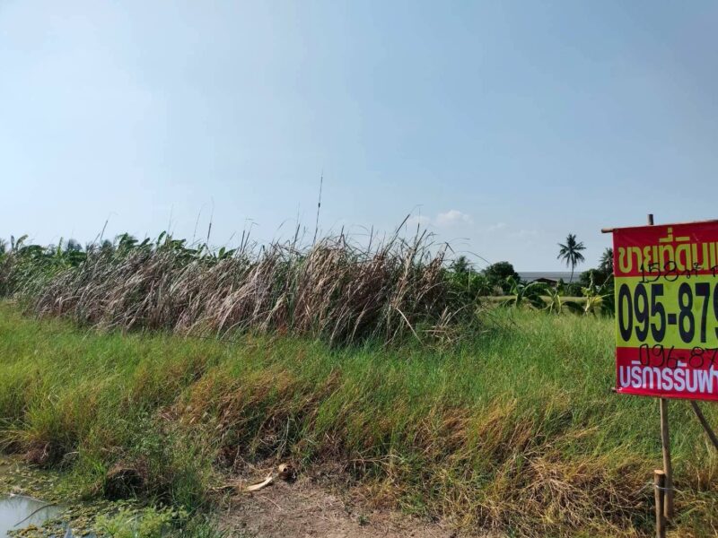 ขายด่วนที่ดิน 158 ตรว เหมาะสร้างบ้านสวน บางระกำ บางเลน นครปฐม