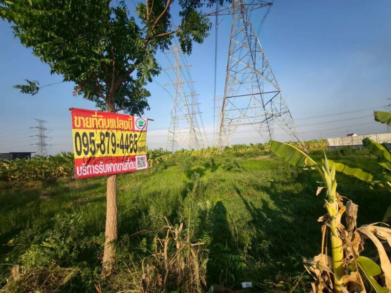 ขายถูกที่ดิน 150 ตรว ติดถนนสาธารณะ ซ.บ้านคลองฝรั่ง ไทรน้อย นนทบุรี