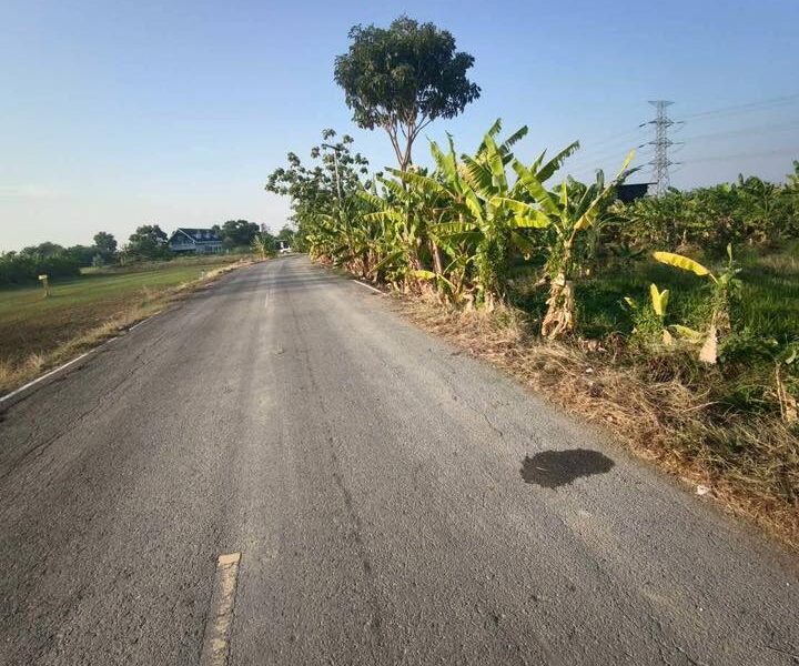 ขายถูกที่ดิน 150 ตรว ติดถนนสาธารณะ ซ.บ้านคลองฝรั่ง ไทรน้อย นนทบุรี