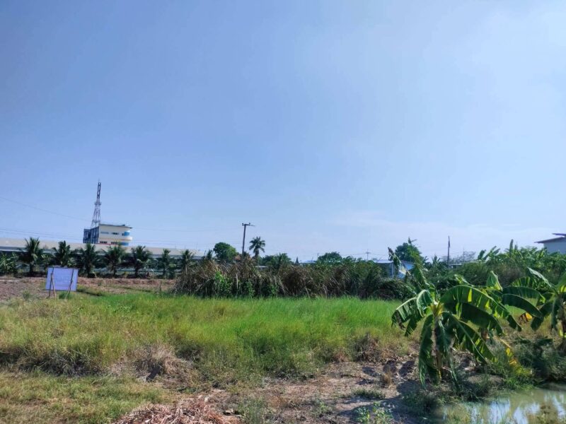 ขายด่วนที่ดิน 158 ตรว เหมาะสร้างบ้านสวน บางระกำ บางเลน นครปฐม