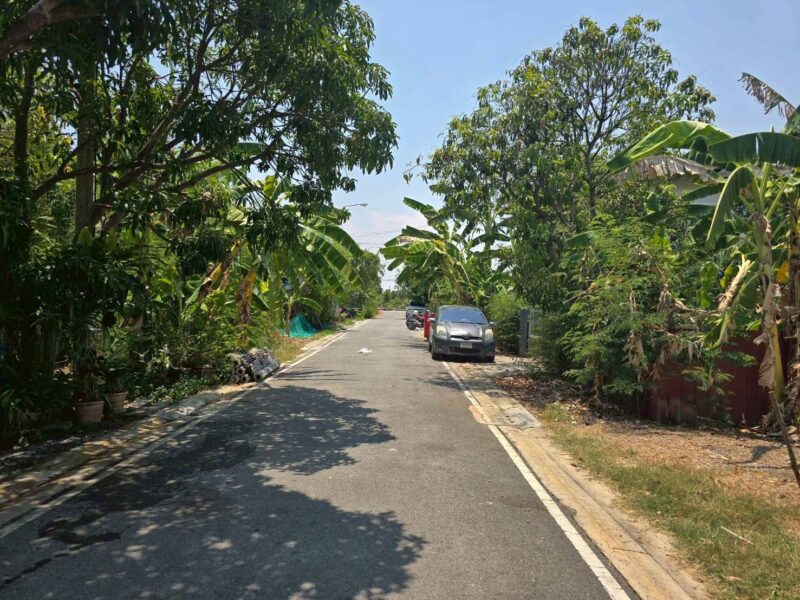 ขายด่วนที่ดินใกล้วัดเต็มรักสามัคคี 52 ตรว ติดถนนลาดยางสาธารณะ บางคูรัต บางบัวทอง นนทบุรี