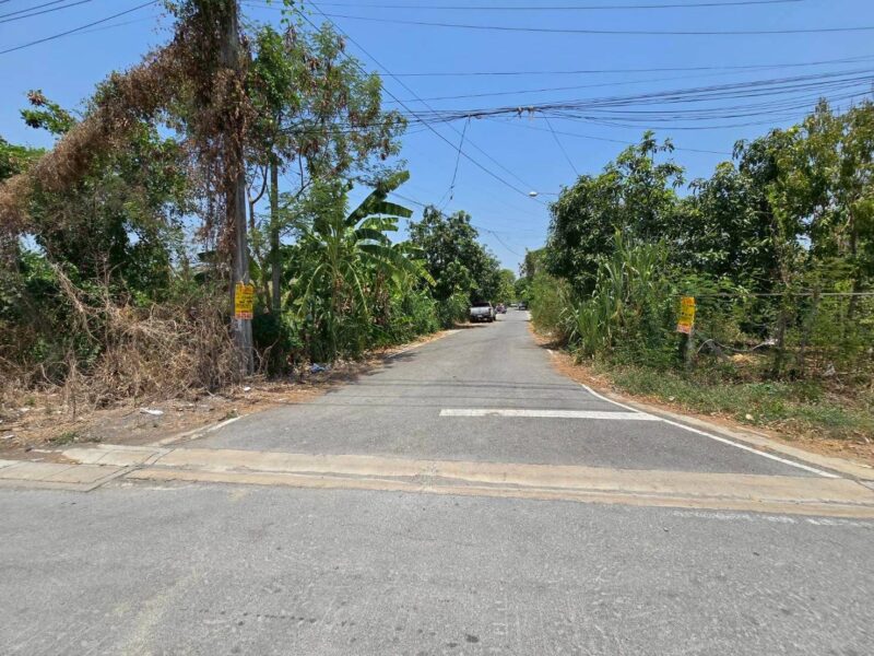 ขายด่วนที่ดินใกล้วัดเต็มรักสามัคคี 52 ตรว ติดถนนลาดยางสาธารณะ บางคูรัต บางบัวทอง นนทบุรี