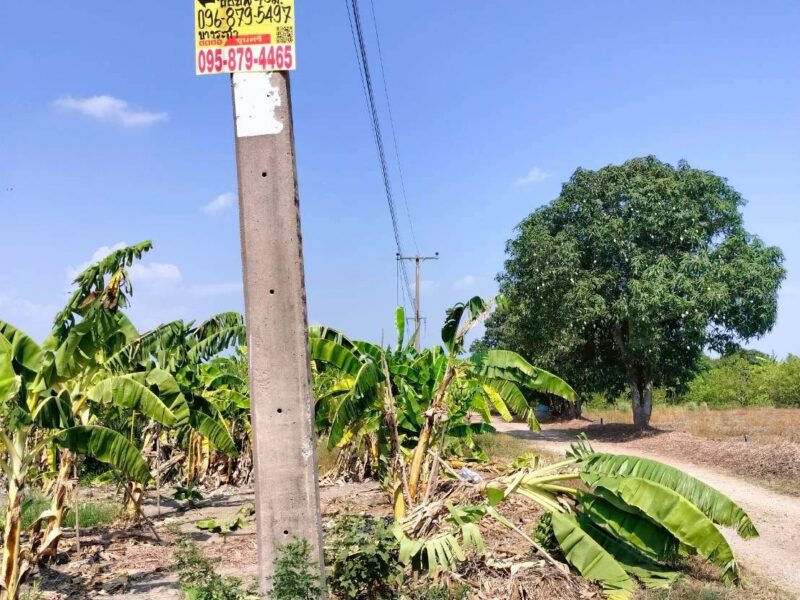 ขายด่วนที่ดิน 158 ตรว เหมาะสร้างบ้านสวน บางระกำ บางเลน นครปฐม